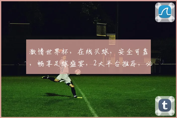 激情世界杯，在线买球，安全可靠，畅享足球盛宴，2大平台推荐，必看攻略